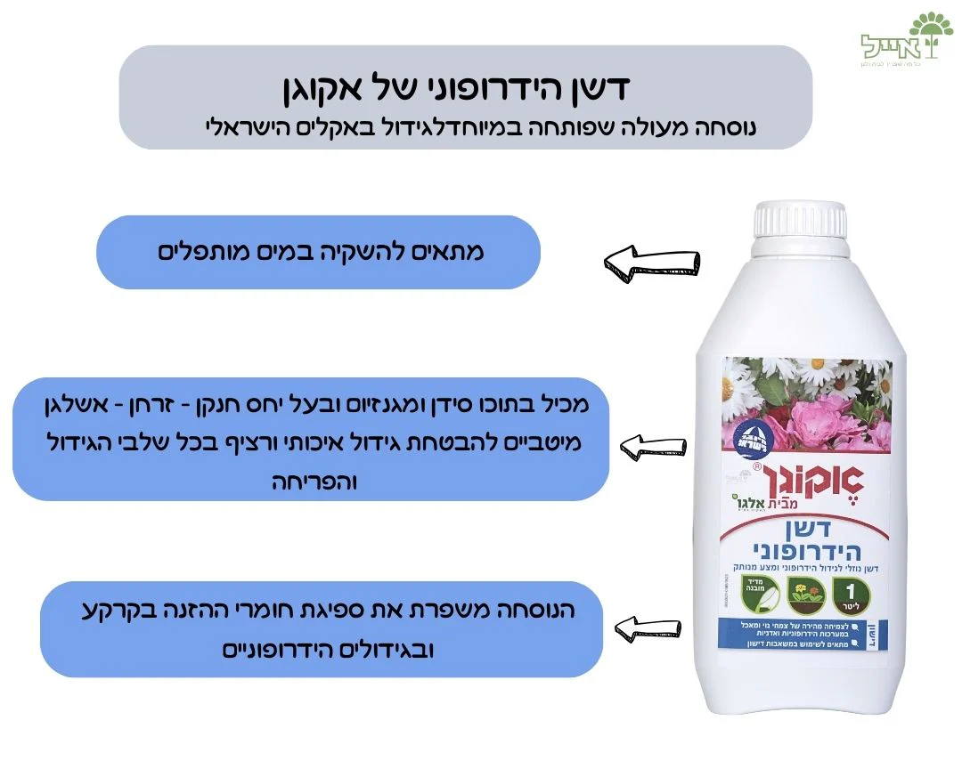 תמונת מוצר 3