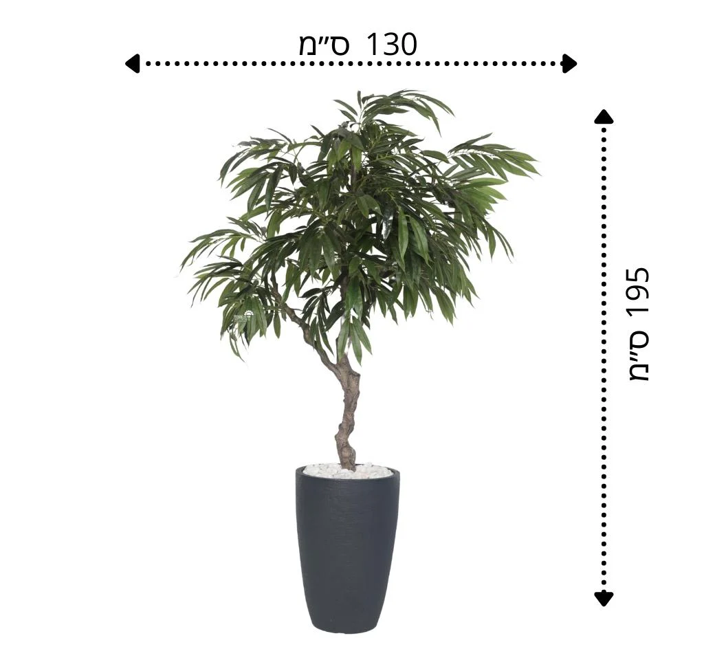 תמונת מוצר 2