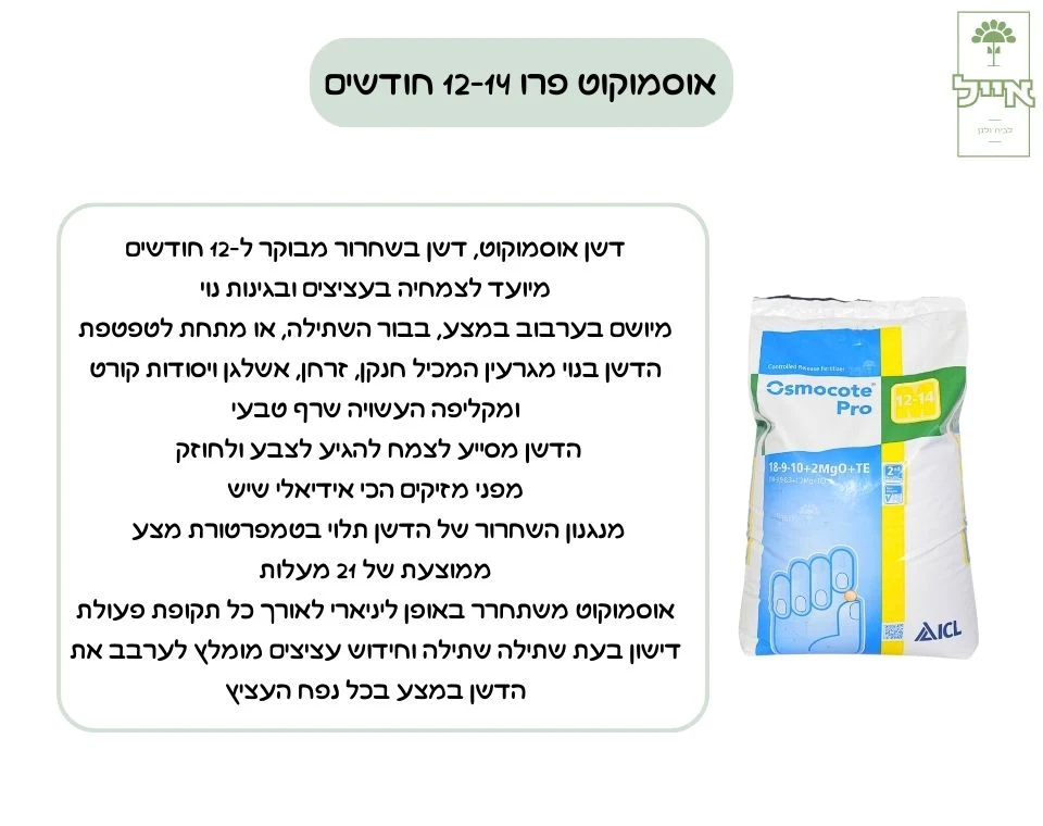 תמונת מוצר 2