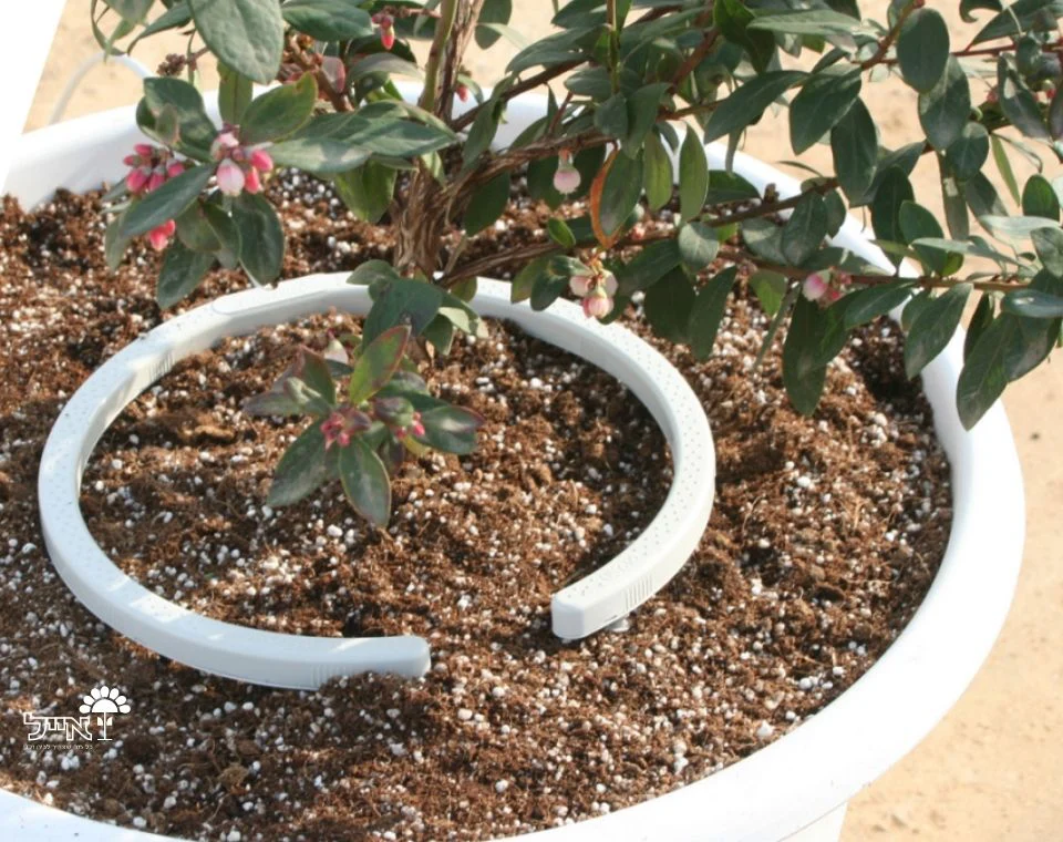 תמונת מוצר 3
