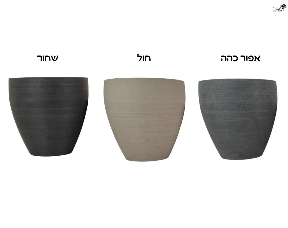 תמונת מוצר 3