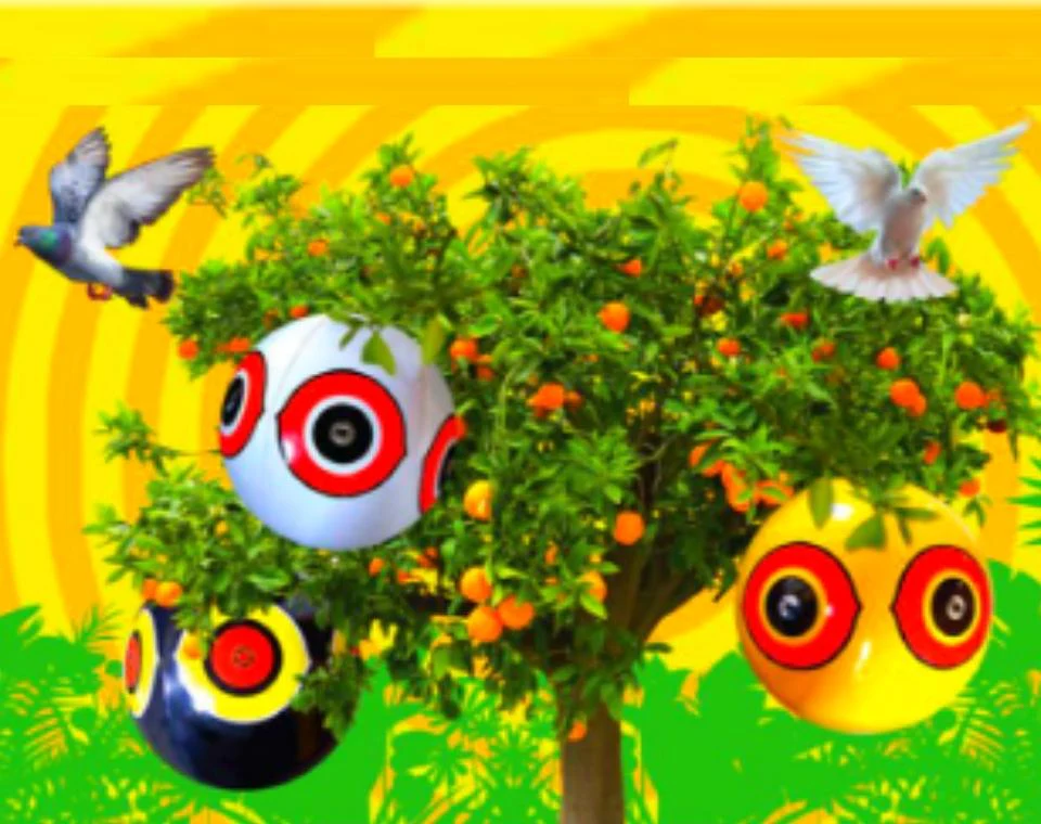 תמונת מוצר 3