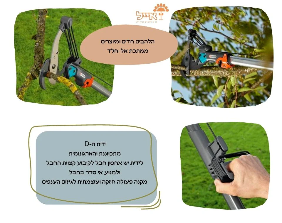 תמונת מוצר 3