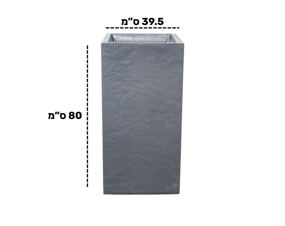 תמונת מוצר 2