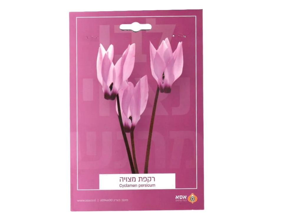 תמונה ממוזערת 1