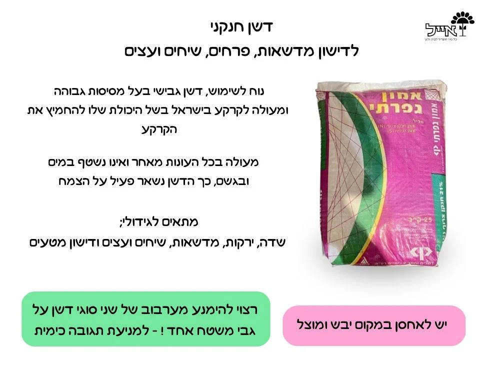 תמונת מוצר 2