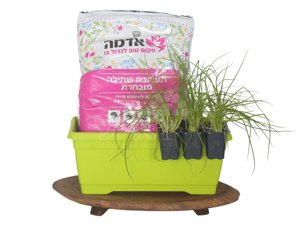 תמונת מוצר 1