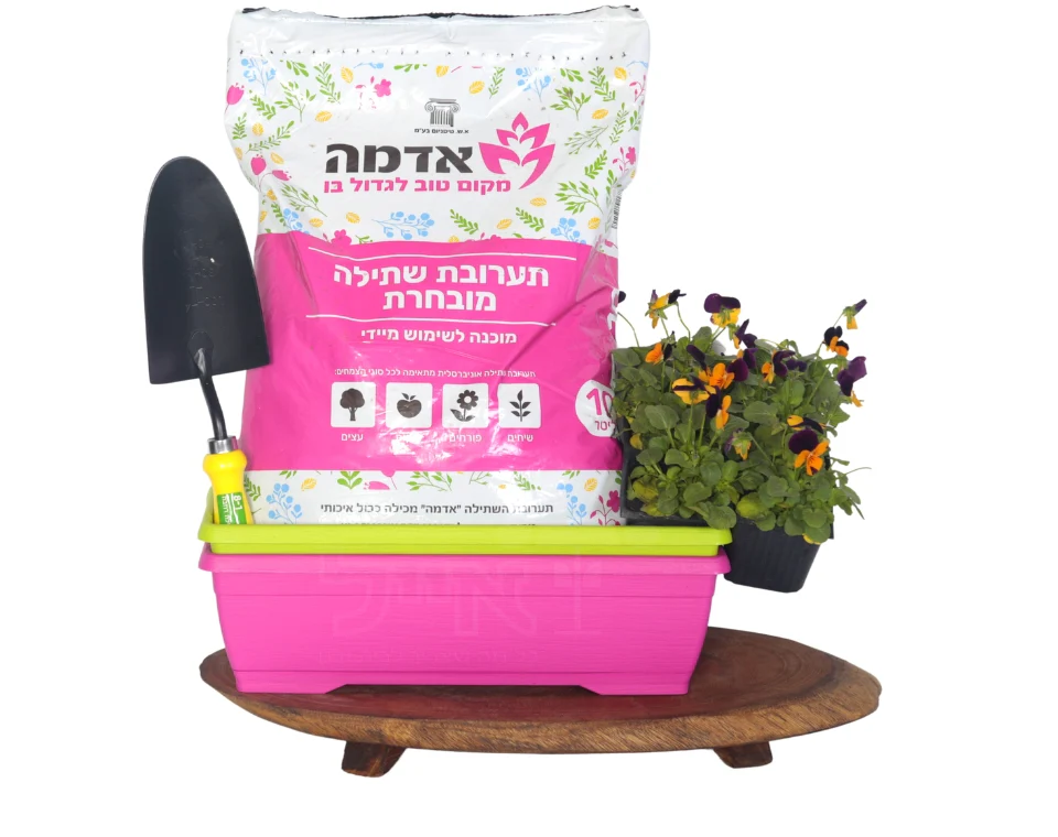 תמונת מוצר 1