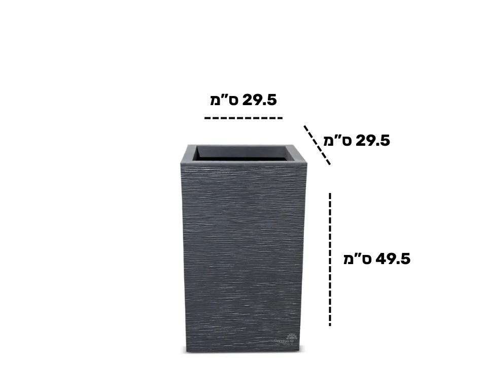 תמונת מוצר 2