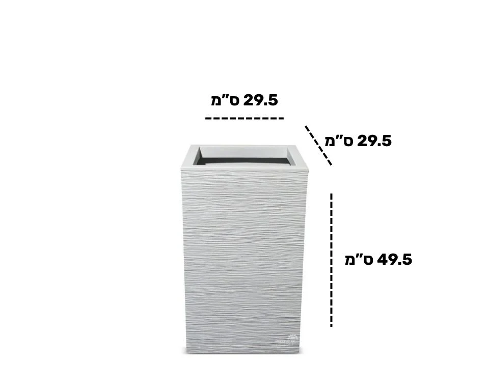 תמונת מוצר 2