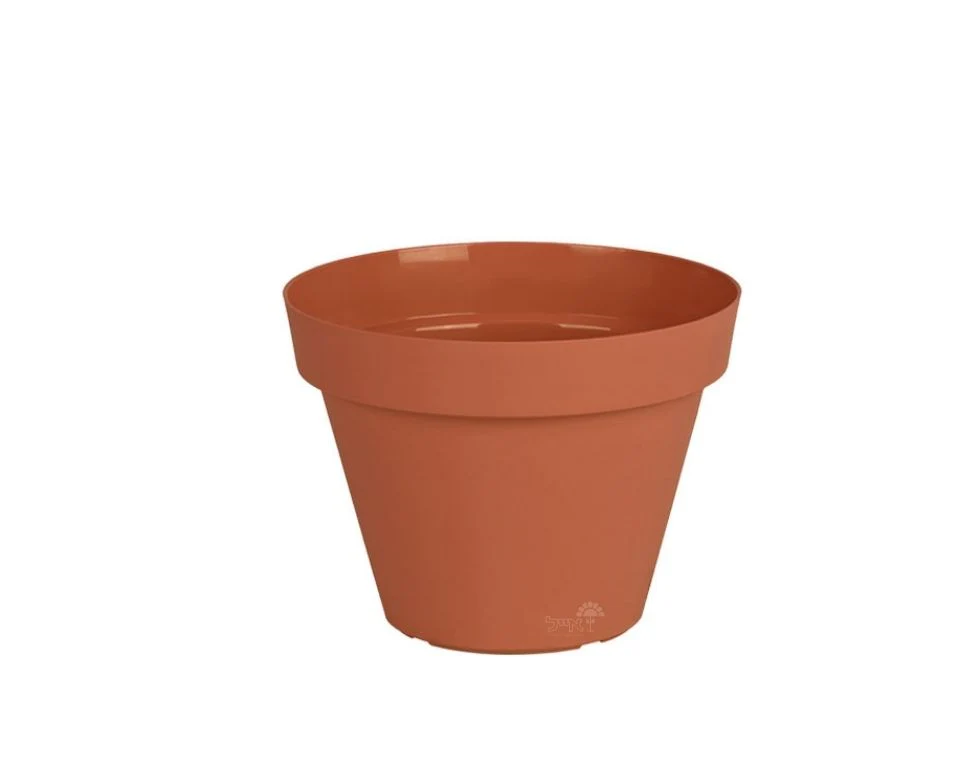 תמונת מוצר 1
