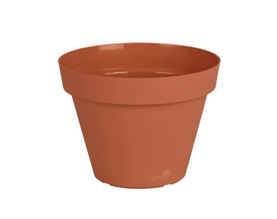 תמונת מוצר 1
