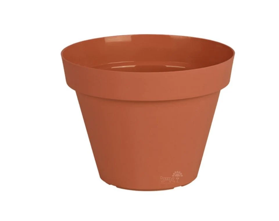 תמונת מוצר 1
