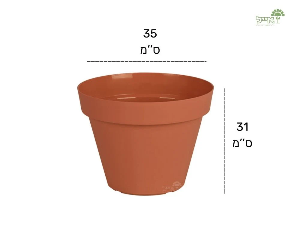 תמונת מוצר 2