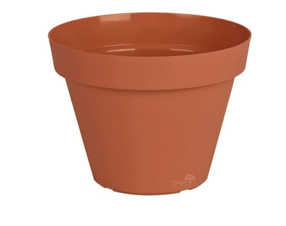 תמונת מוצר 1