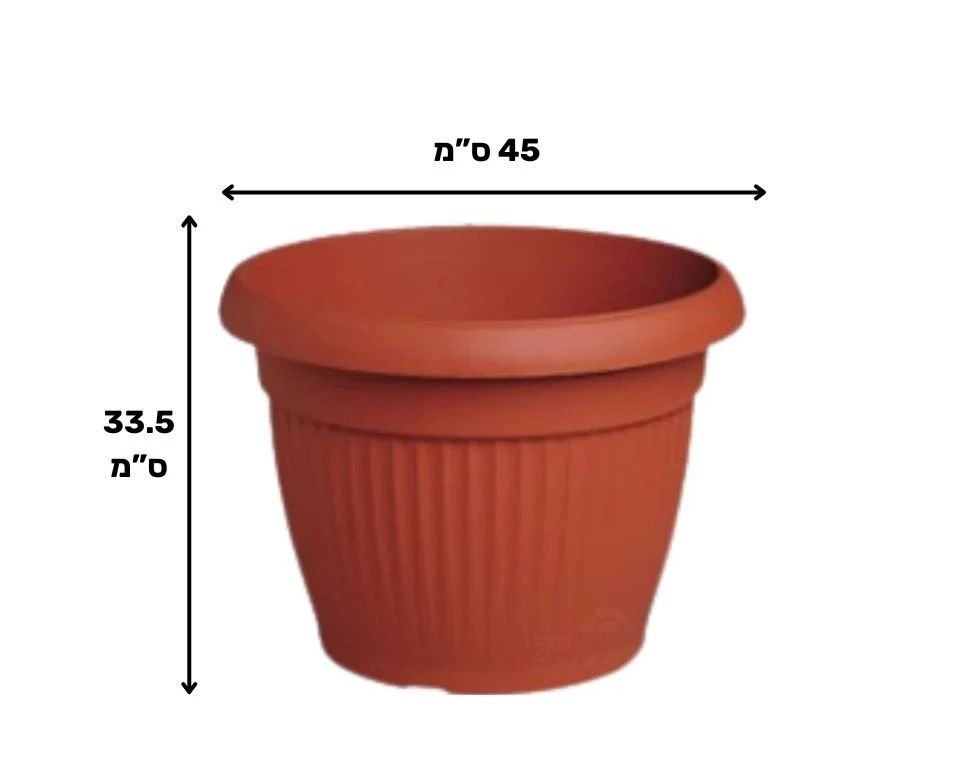 תמונת מוצר 2