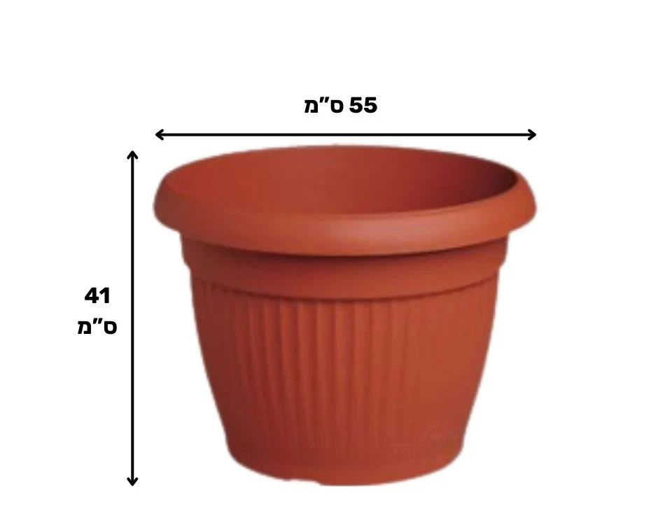 תמונת מוצר 2