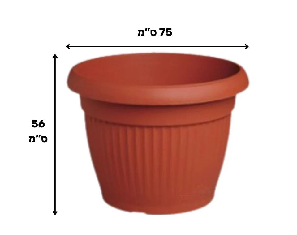תמונת מוצר 2