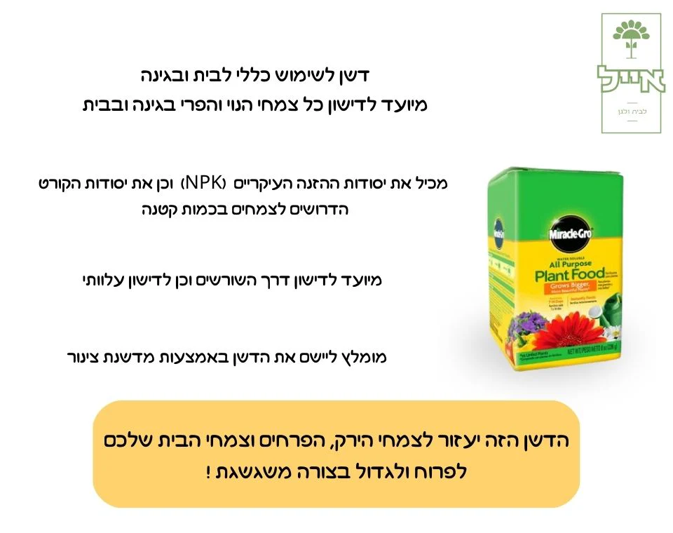 תמונת מוצר 2