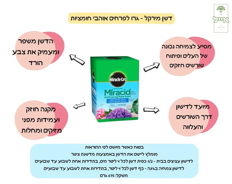 תמונת מוצר 2