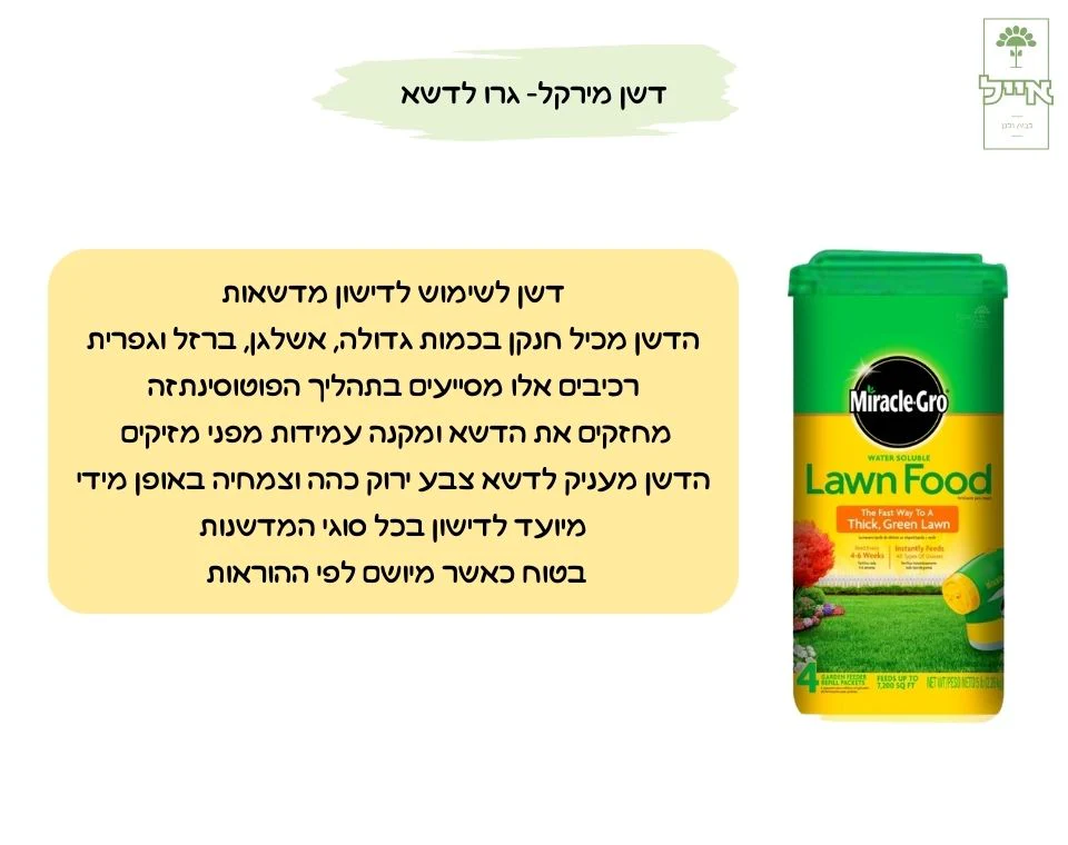 תמונת מוצר 2