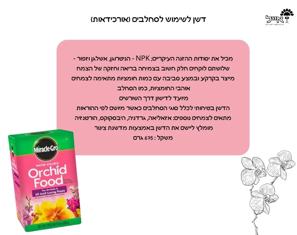 תמונת מוצר 2