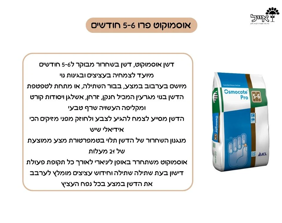 תמונת מוצר 2