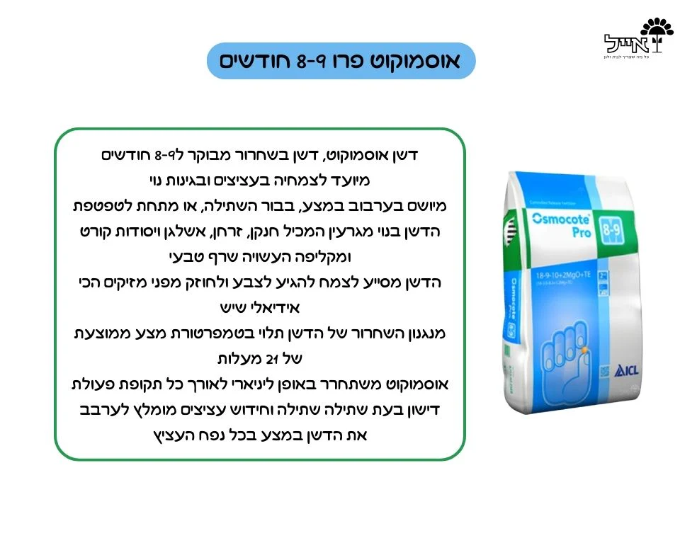 תמונת מוצר 2