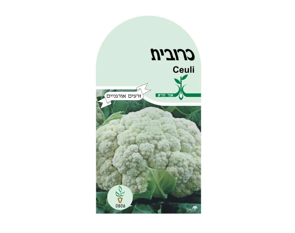 תמונת מוצר 1