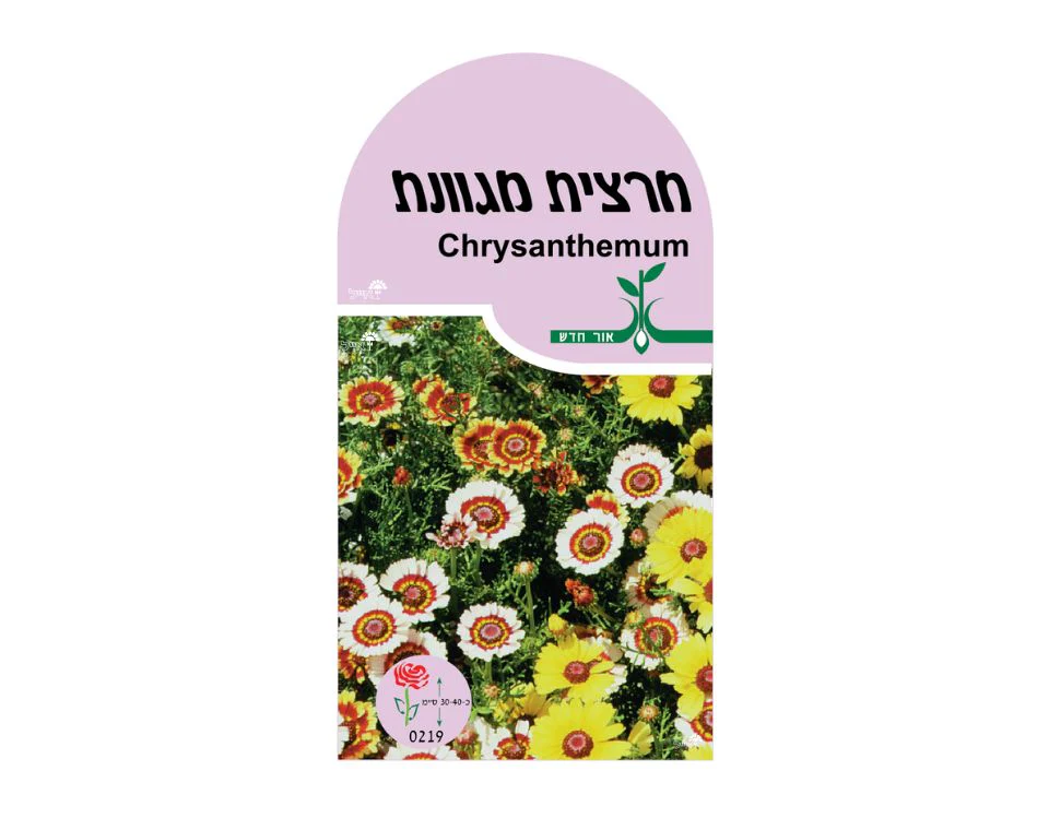 תמונת מוצר 1