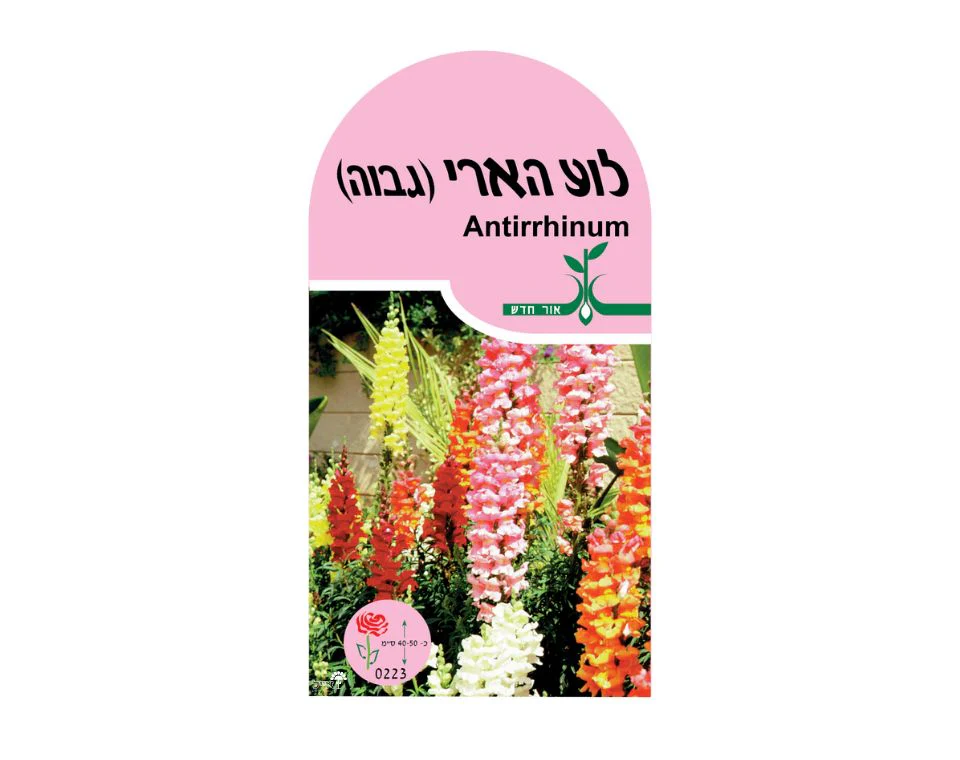 תמונת מוצר 1