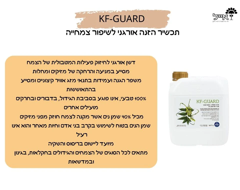 תמונה ממוזערת 2