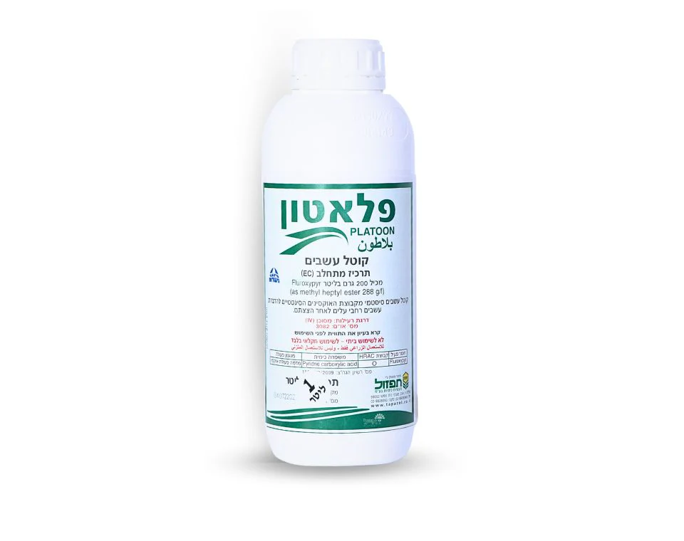 תמונת מוצר 1