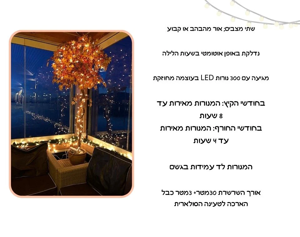 תמונת מוצר 3