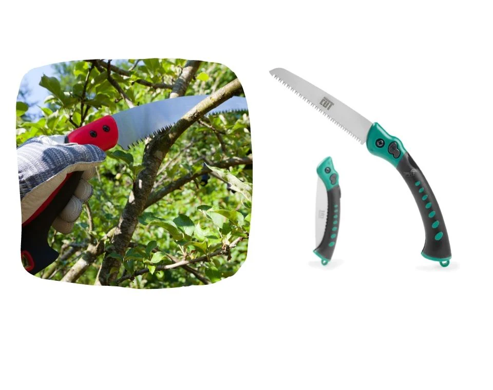 תמונת מוצר 3