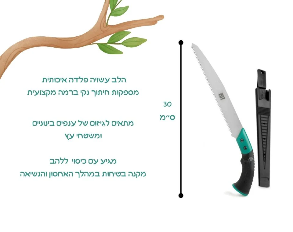 תמונה ממוזערת 2