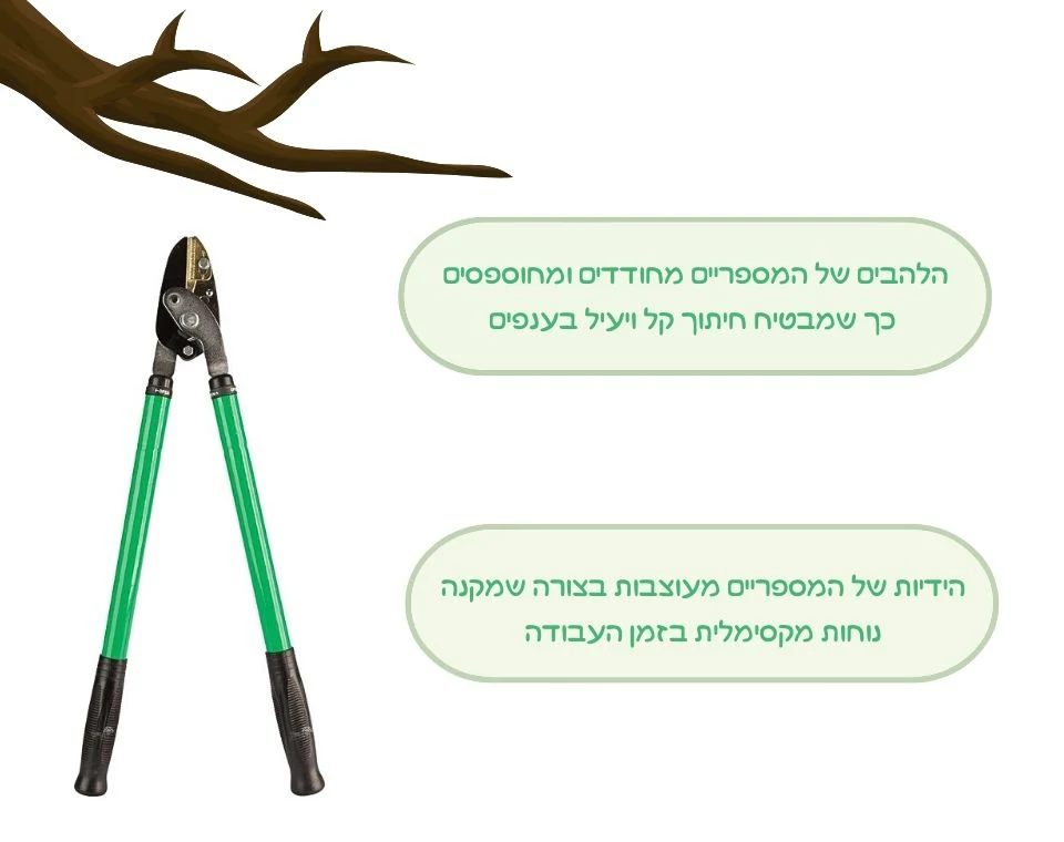 תמונת מוצר 2