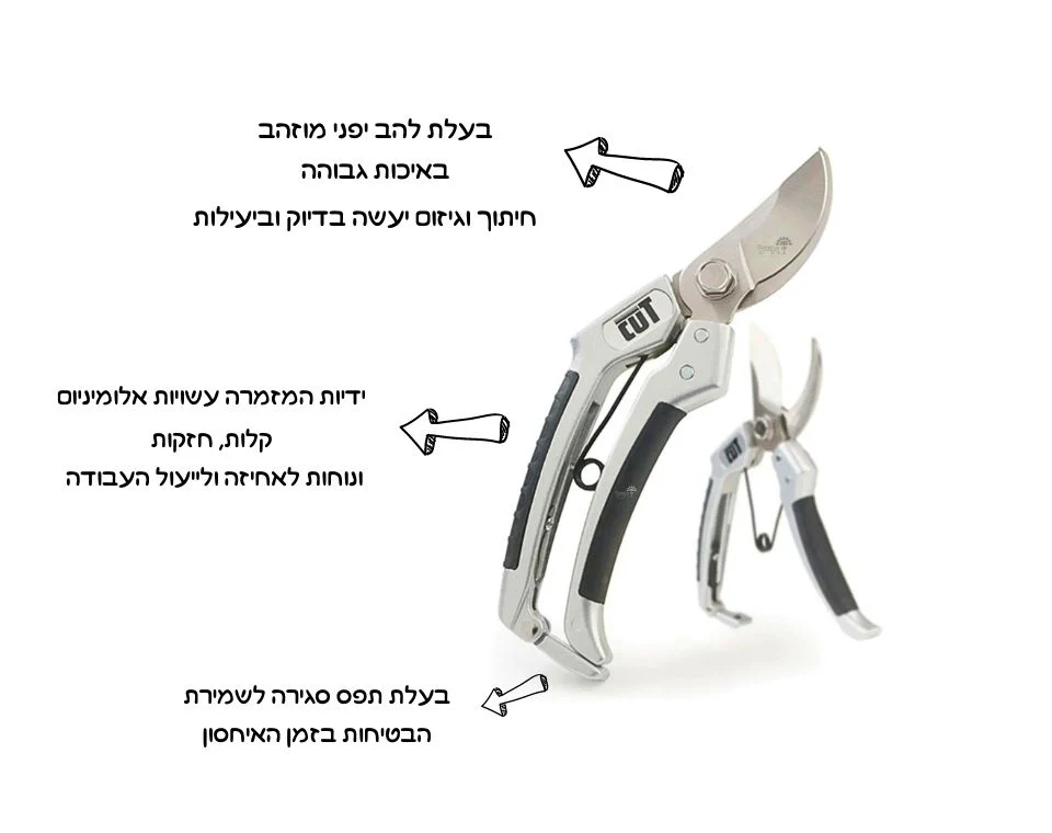 תמונת מוצר 2
