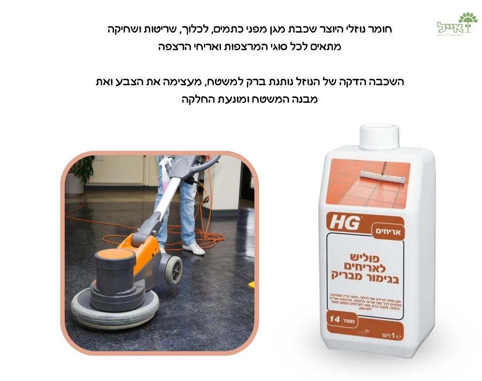 תמונת מוצר 2