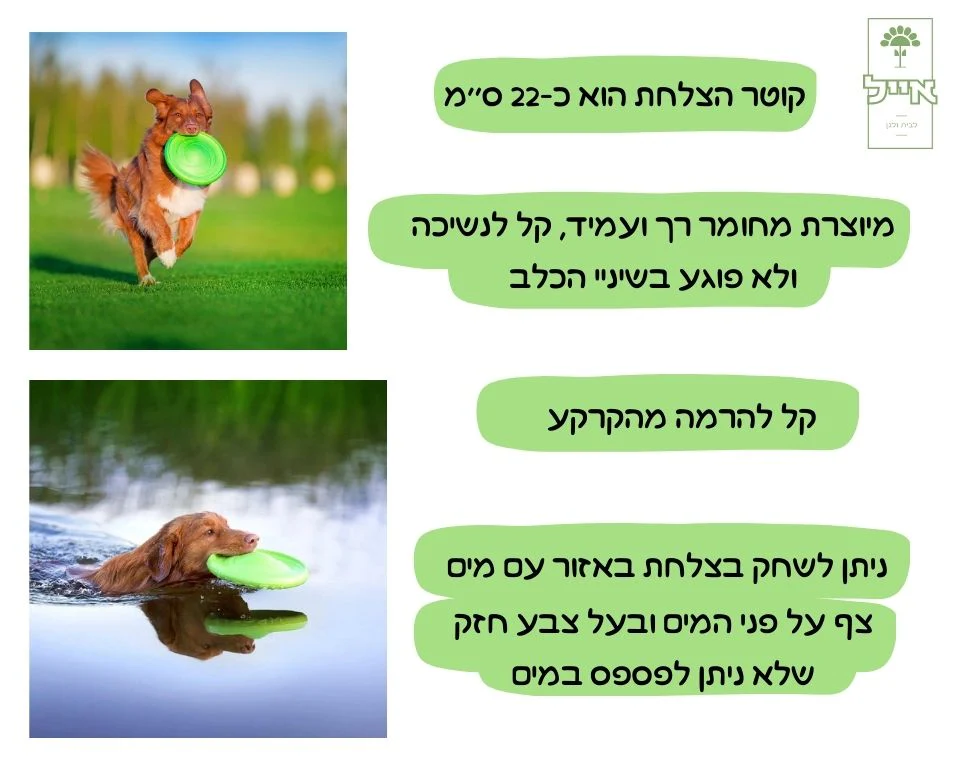 תמונת מוצר 2