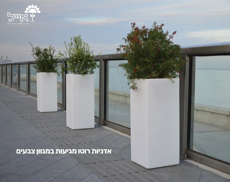 תמונת מוצר 3