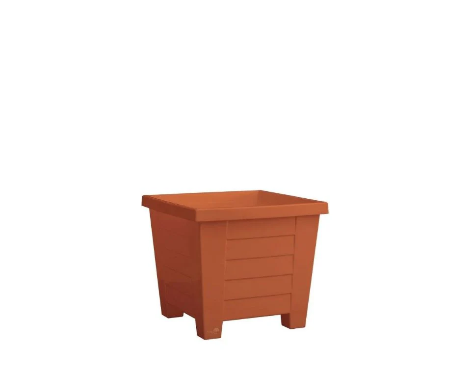 תמונת מוצר 1