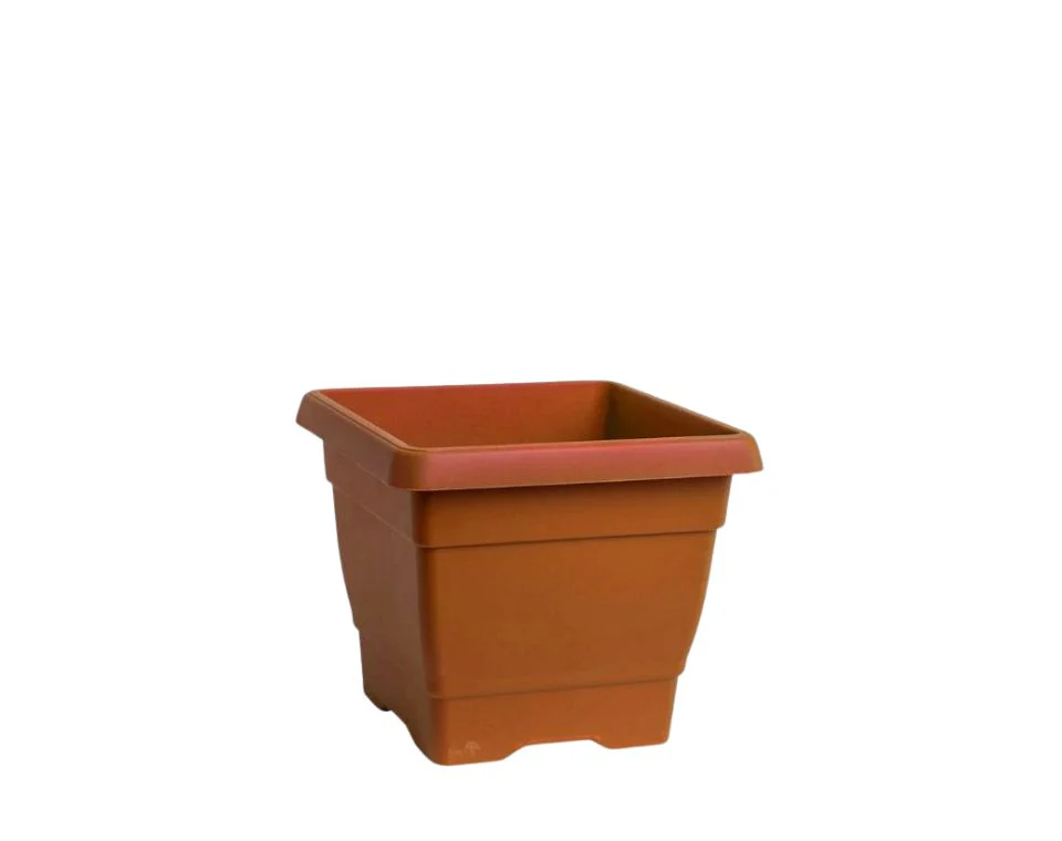 תמונת מוצר 1