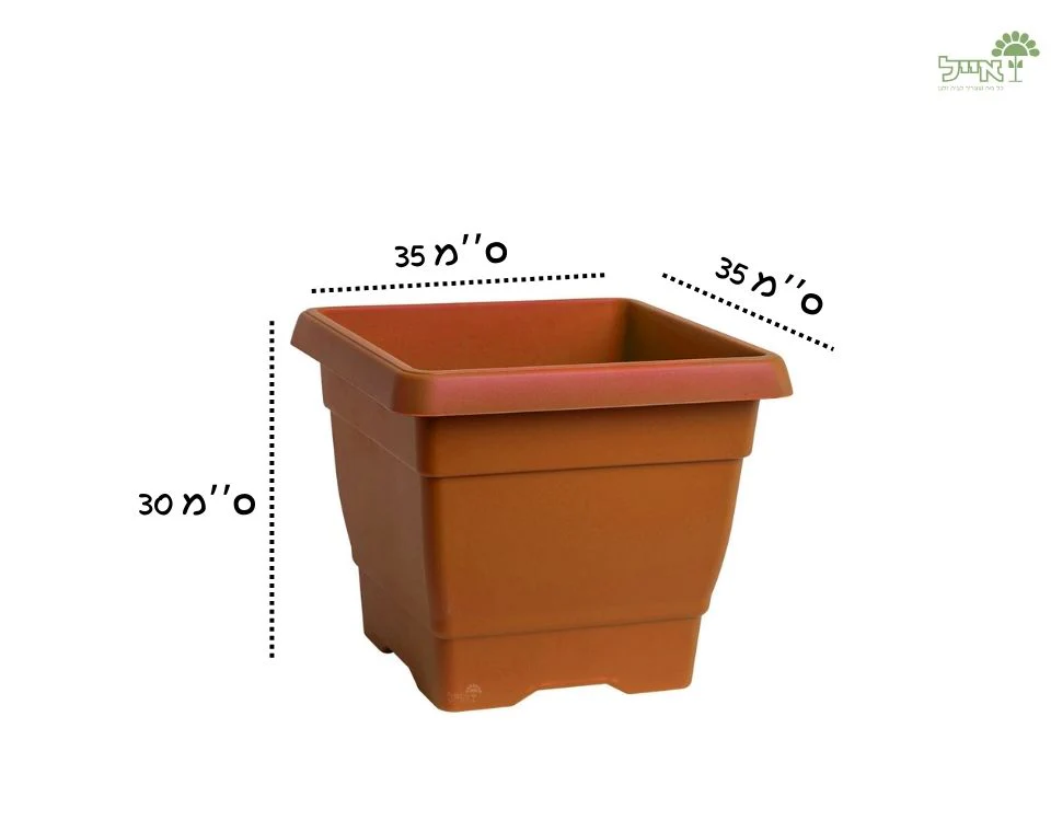 תמונת מוצר 2