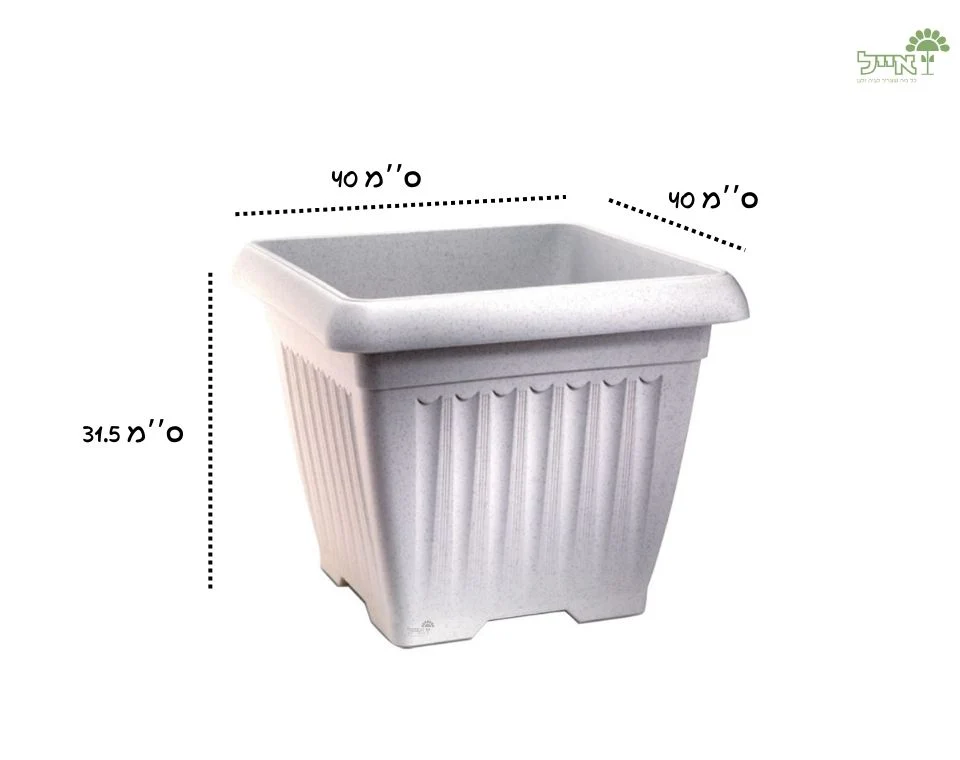 תמונת מוצר 2