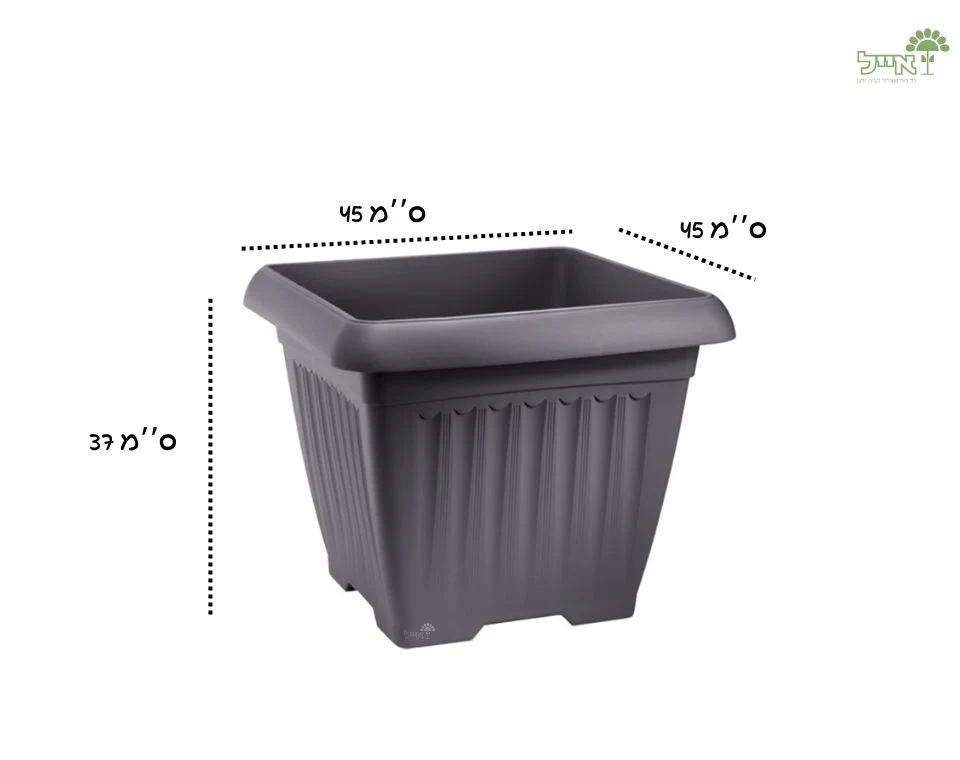 תמונת מוצר 2