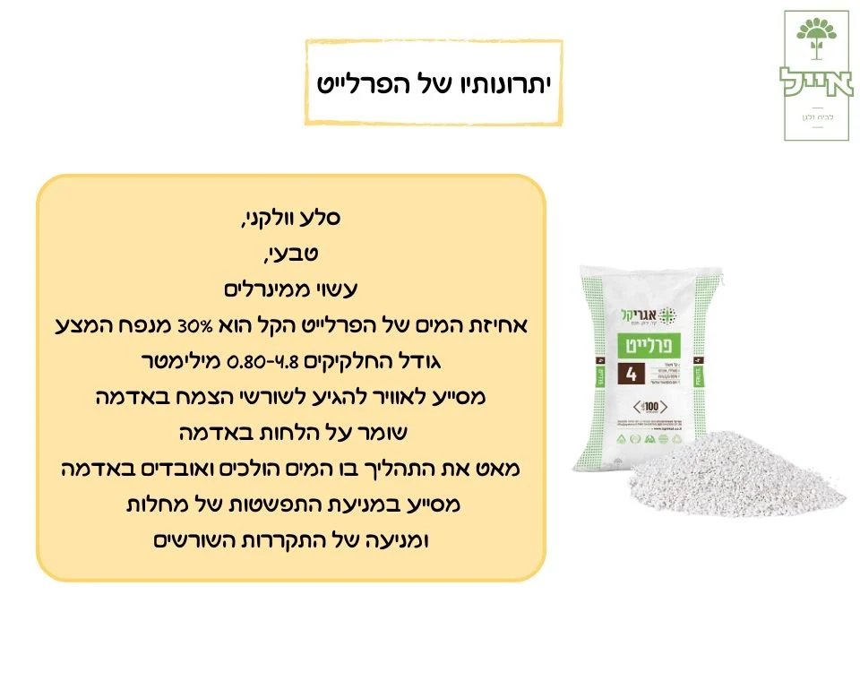 תמונת מוצר 2