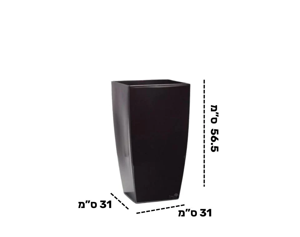 תמונת מוצר 2