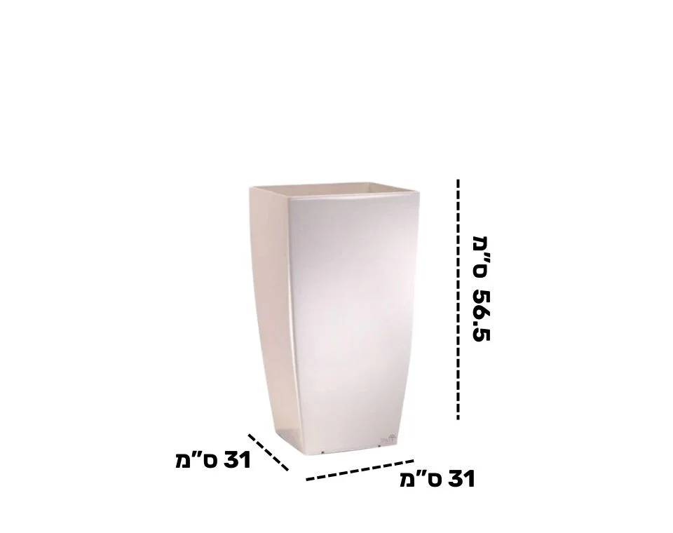 תמונת מוצר 2