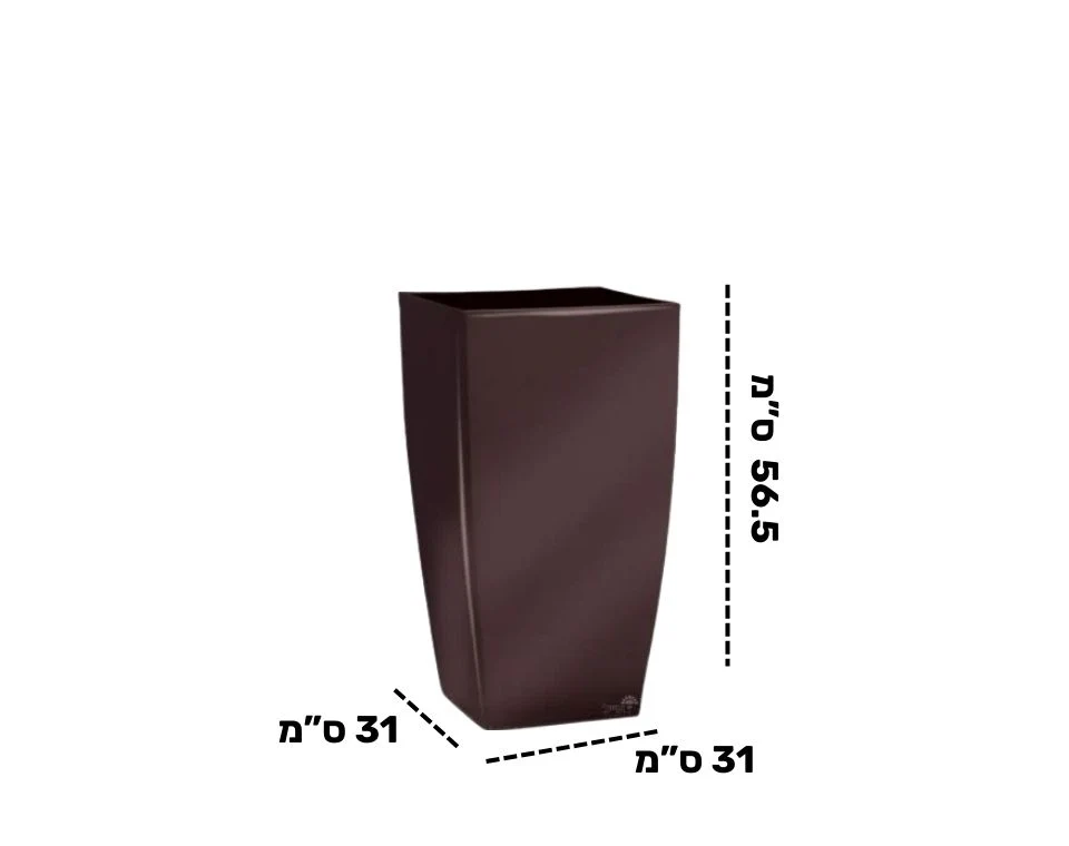 תמונת מוצר 2
